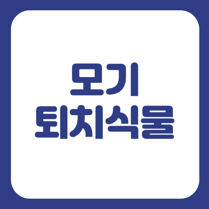 모기 퇴치식물