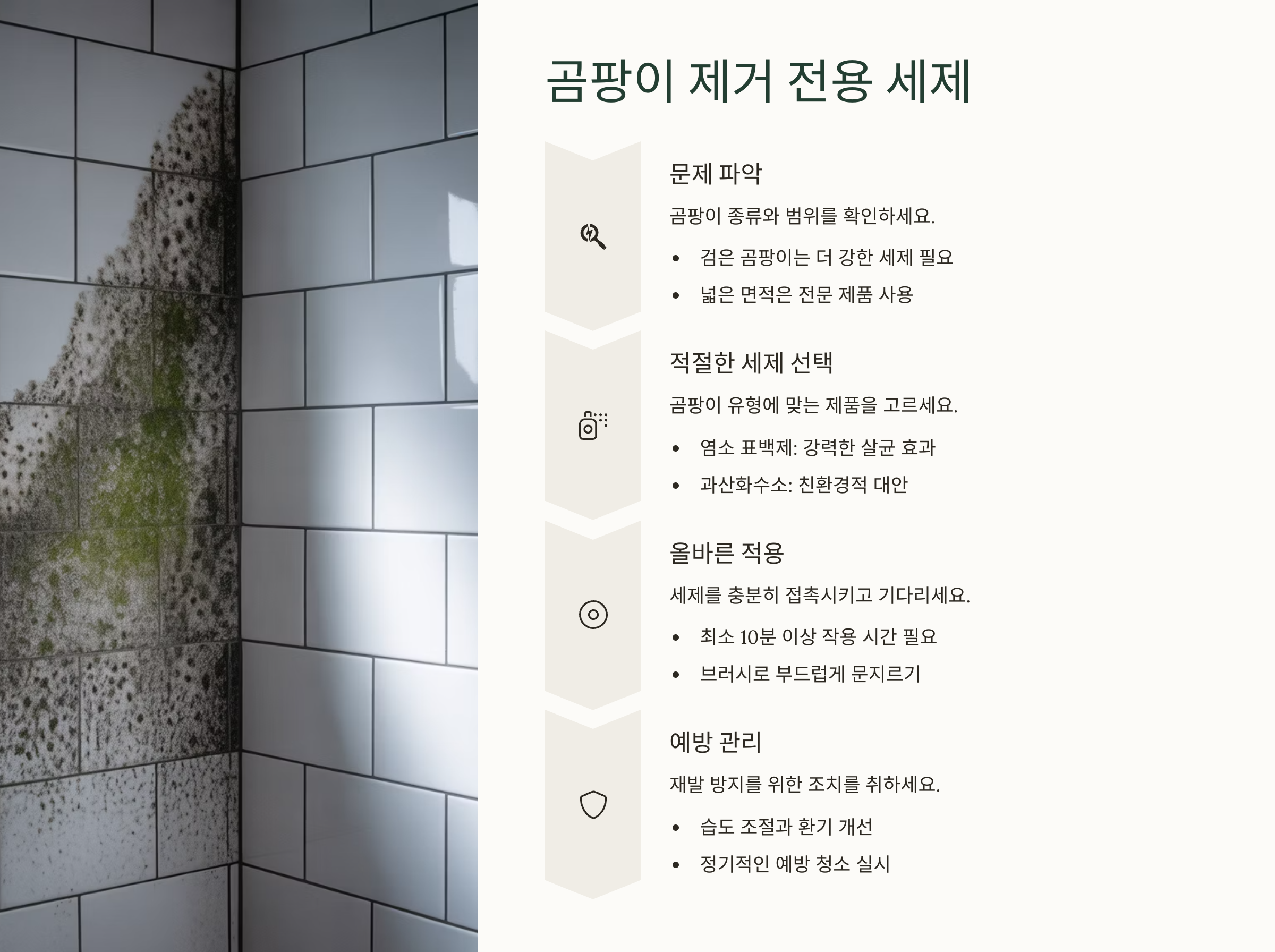 🦠 곰팡이 제거 전용 젤 세제
