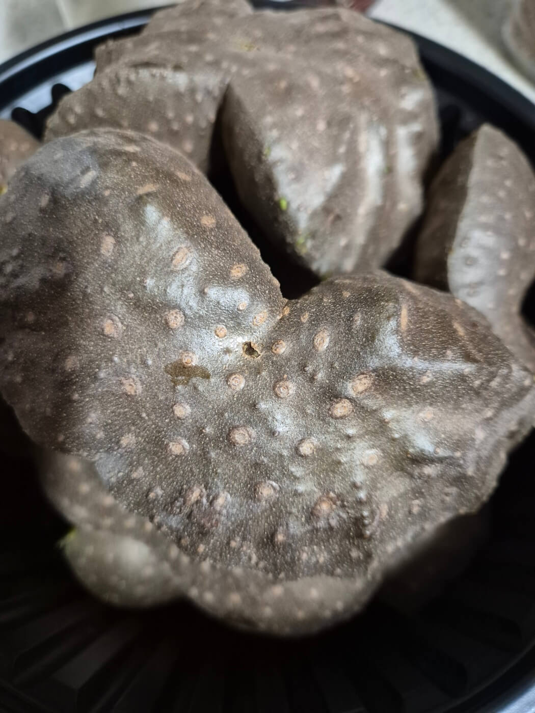 하늘마 효능 먹는 방법 보관방법 부작용 