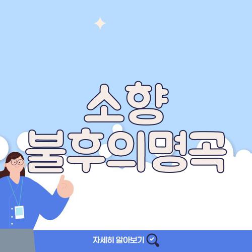 소향 불후의명곡