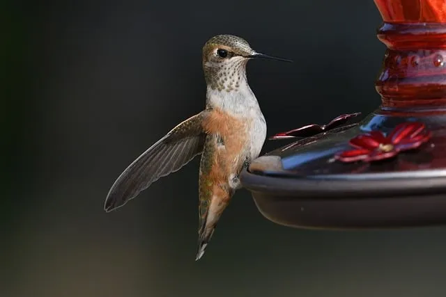 경산 가볼만한곳 베스트10 현지인 추천 필수코스_7