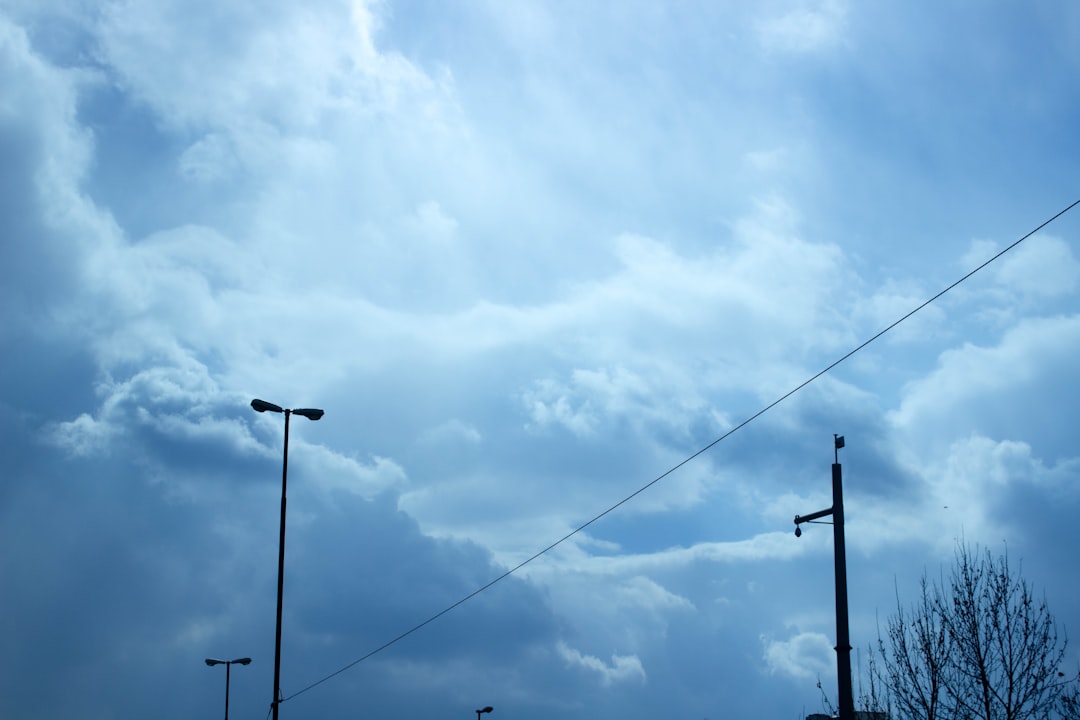 Weatherstrip.