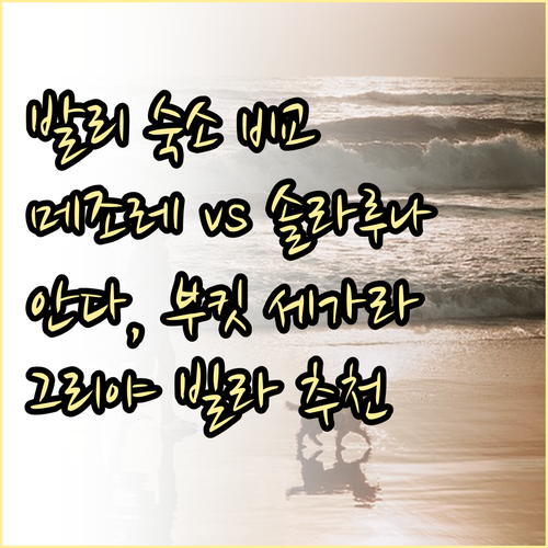 발리 아메드 숙소 비교분석 메조레, 