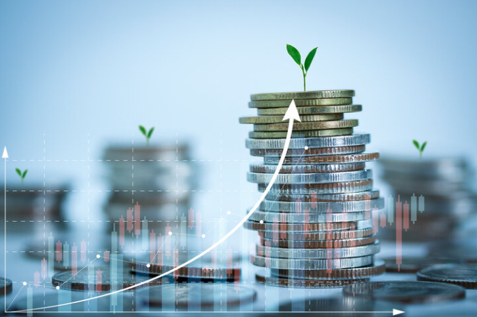 동전 그래프 사진