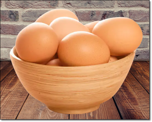 단백질많은음식