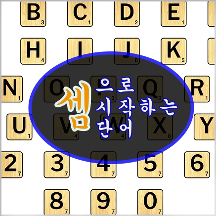 셈으로 시작하는 단어