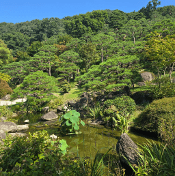 가을천 단풍여행 화담숲 화담채 모노레일 입장권 예약 방법 안내