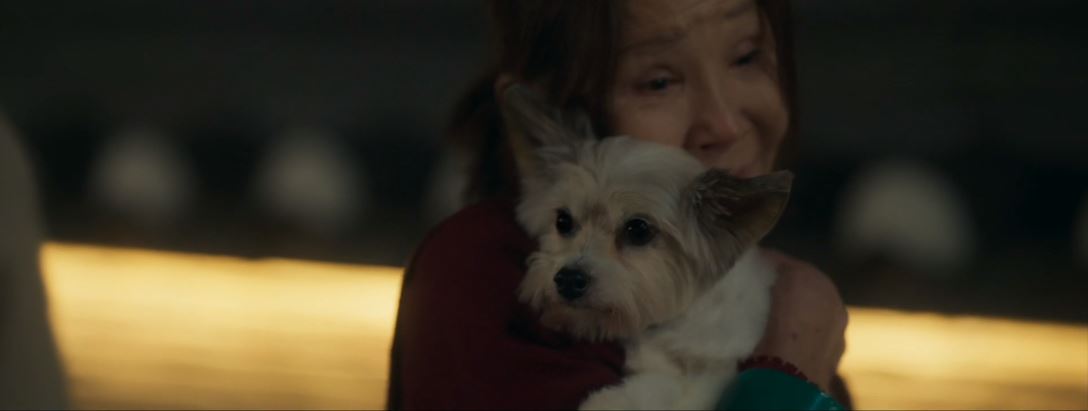 오늘도사랑스럽개_6회