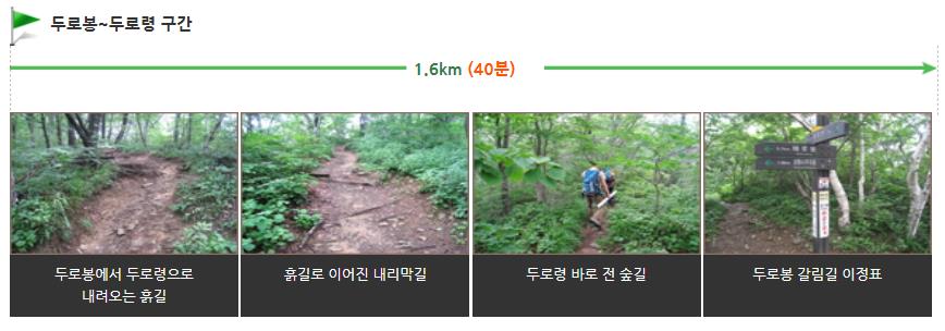 오대산 두로봉 코스