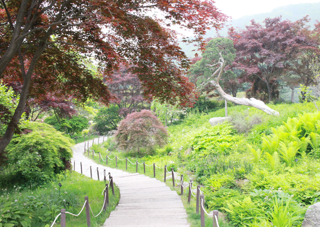 가평 가볼만한 곳