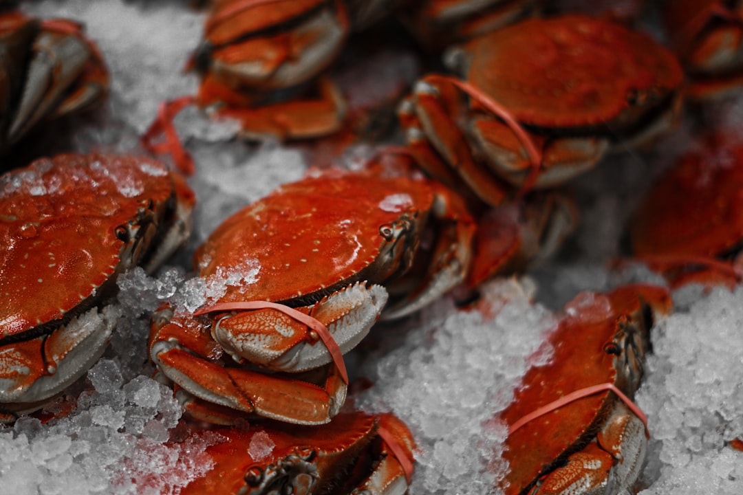 Seafood