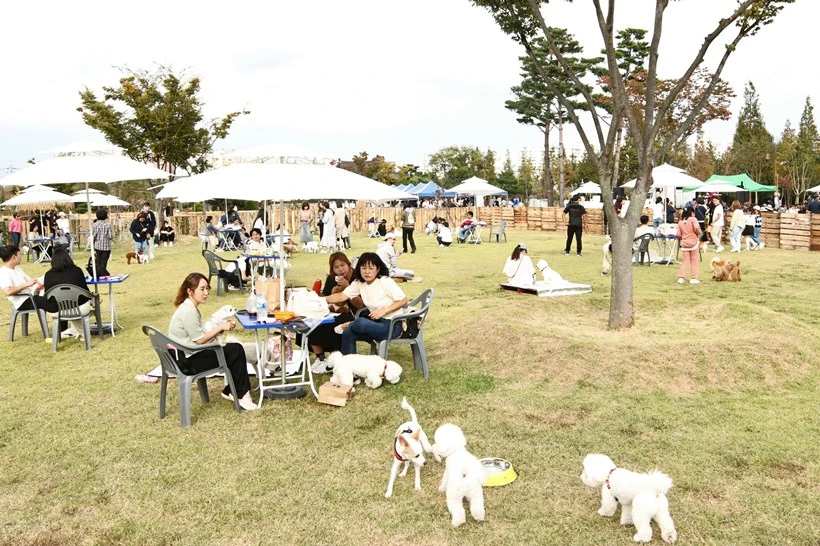 경주엑스포대공원 화랑광장 경주 반려견 페스티벌 소개 일정 시간 입장료 놀이터 이웅종 슬리피 사전 접수 참가 신청
