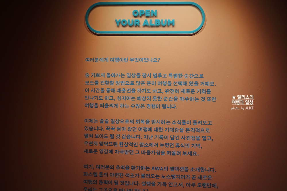 우연히 웨스 앤더슨 전시 추천, 그라운드 시소 성수