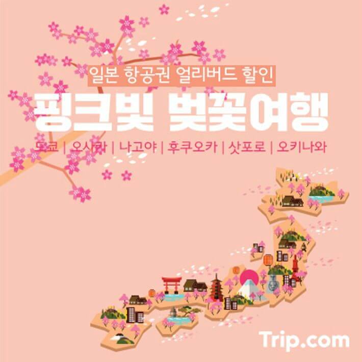 얼리버드3