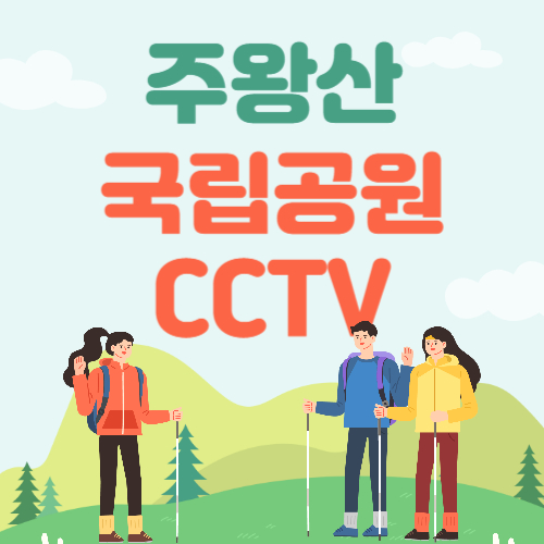 주왕산국립공원 기암 CCTV