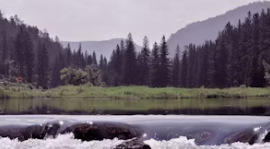 개별공시지가 조회 토지 부동산 건물 개별공시지가 조회