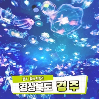 경주 실내 가볼만한곳 베스트 10을 정리_15