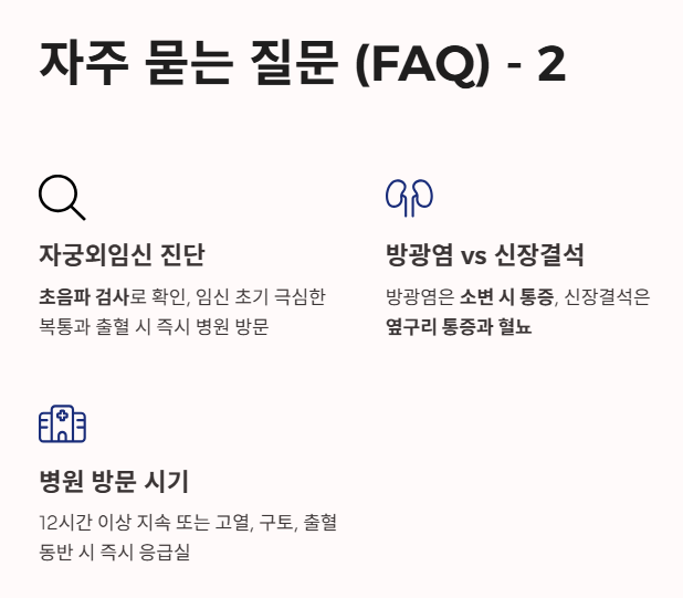 자주 묻는 질문