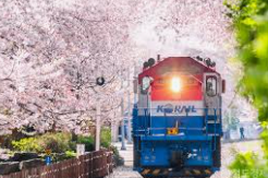 2025 KTX 할인받는법