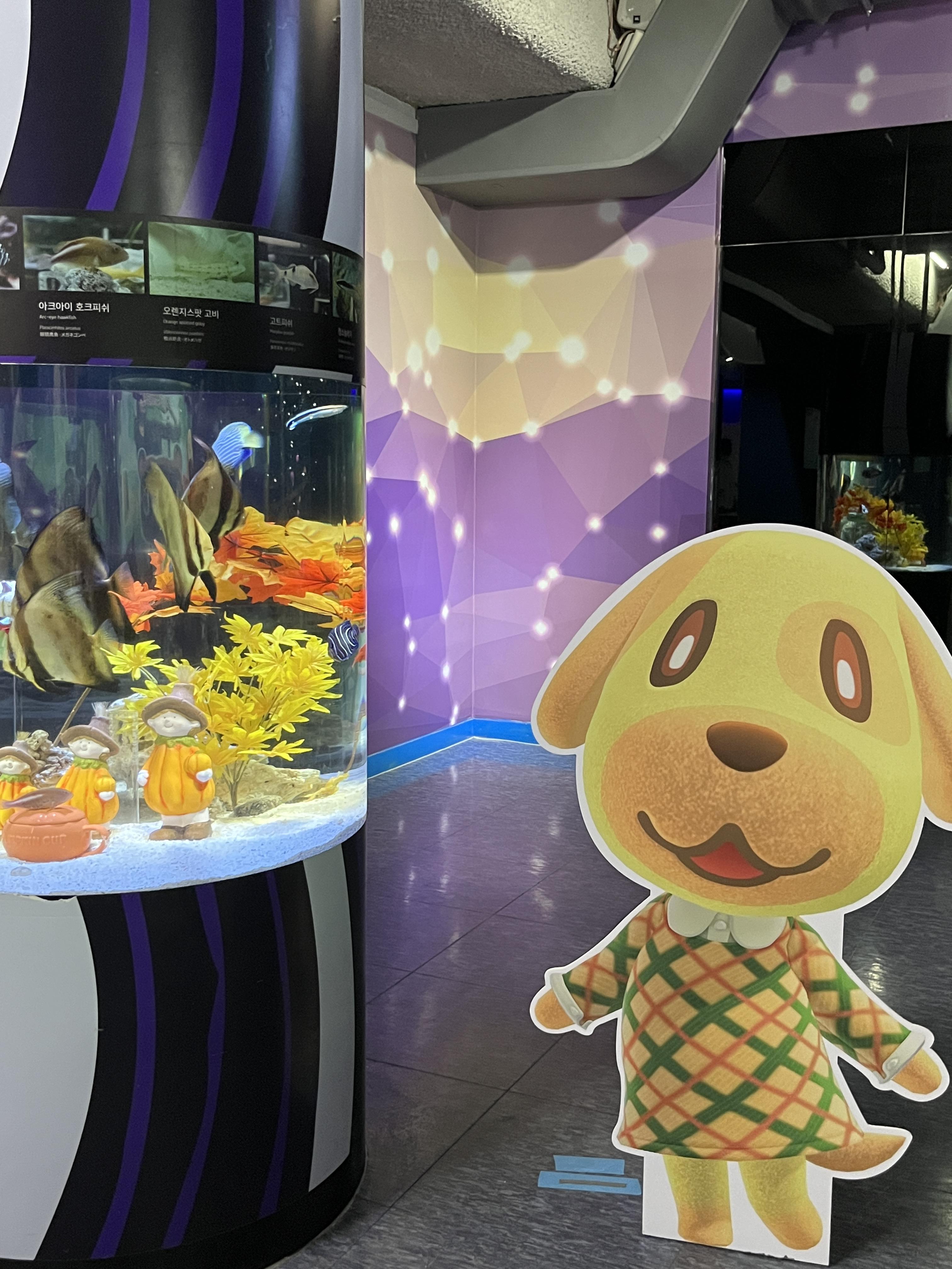 코엑스 아쿠아리움 동물의숲