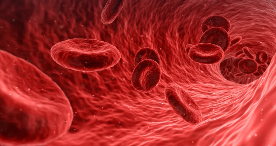 성인간호학 심부전의 병리학적 기전과 간호적 접근 예방 및 관리 방법