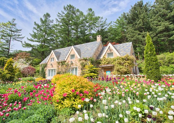 아침고요수목원 야생화 전시