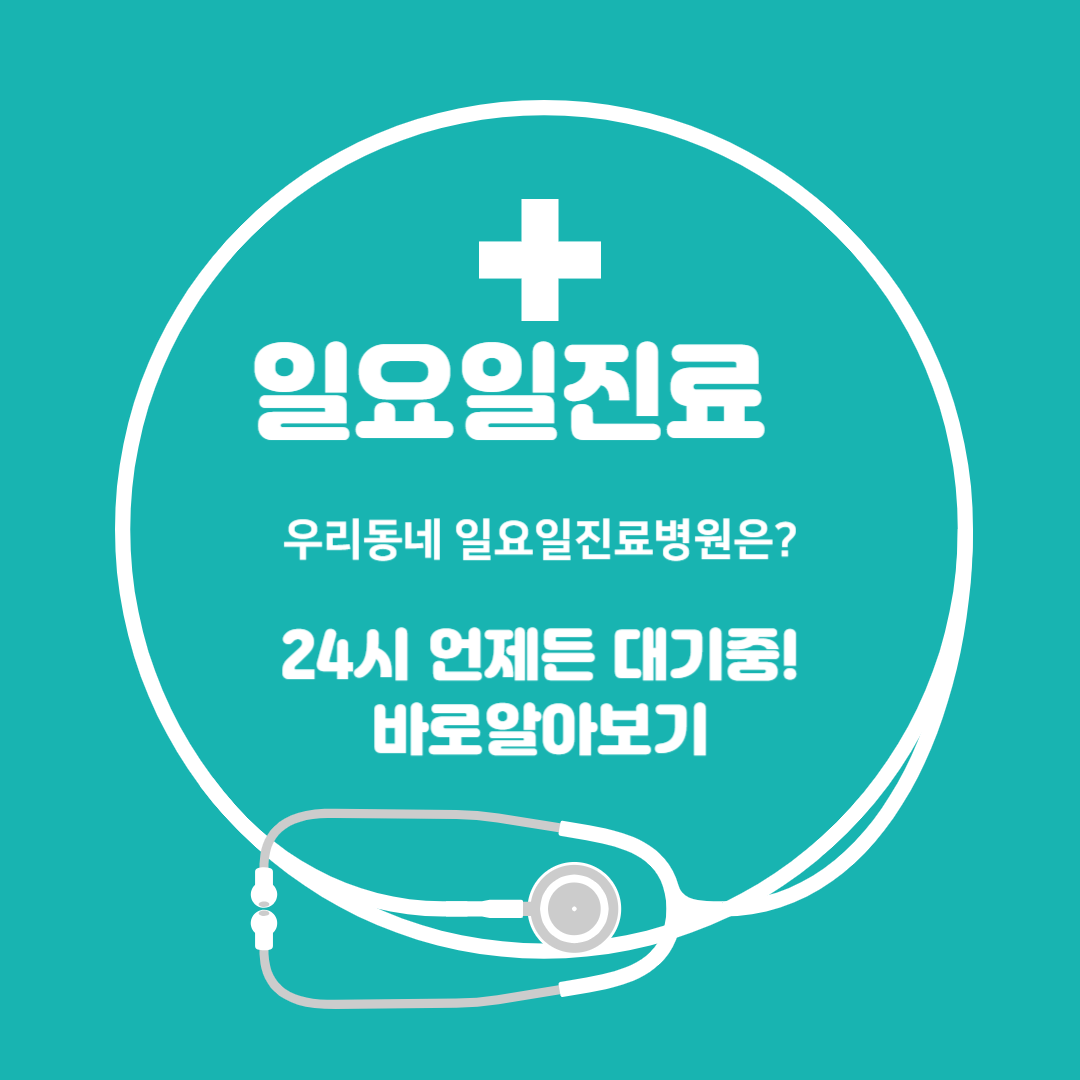 일요일 병원 진료 찾기