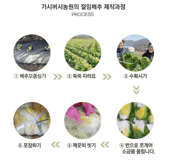 괴산 절임배추 20kg 사전예약 가격비교