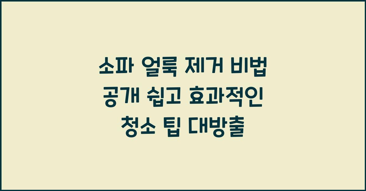 소파 얼룩 제거