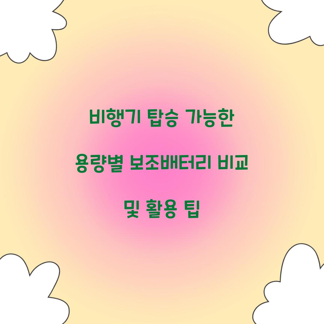비행기 탑승 가능한 용량별 보조배터리 비교