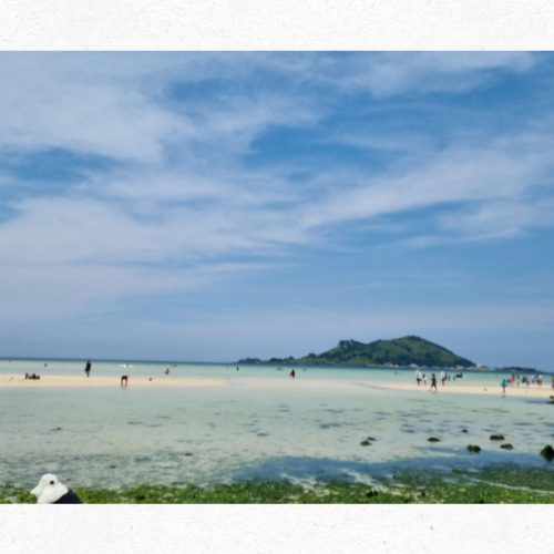 협재해변 백사장 전경