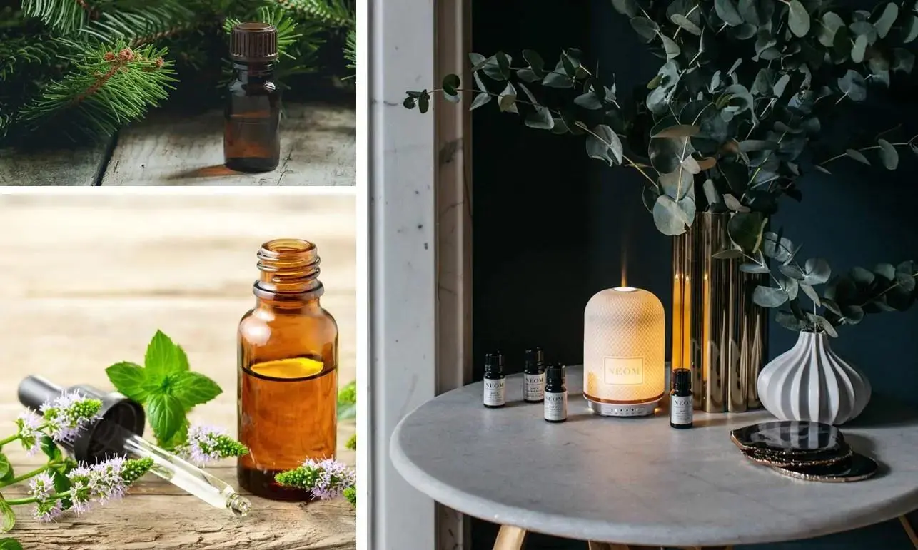 불면증-해결-디퓨저