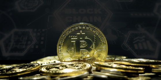 지금 뜨는 투자처 관련 사진