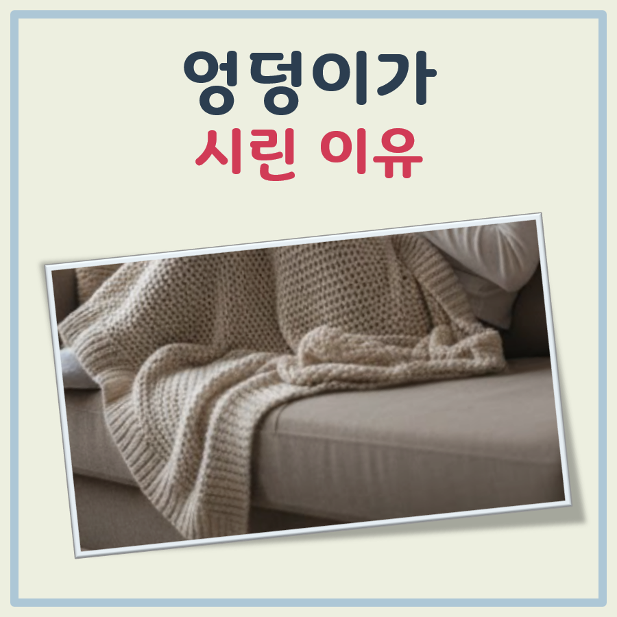 엉덩이가 시린 이유 대표 이미지