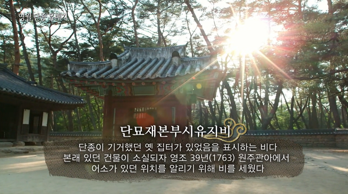 영월 청령포 가는 길&middot;주차장&middot;배 이용 방법&middot;입장료