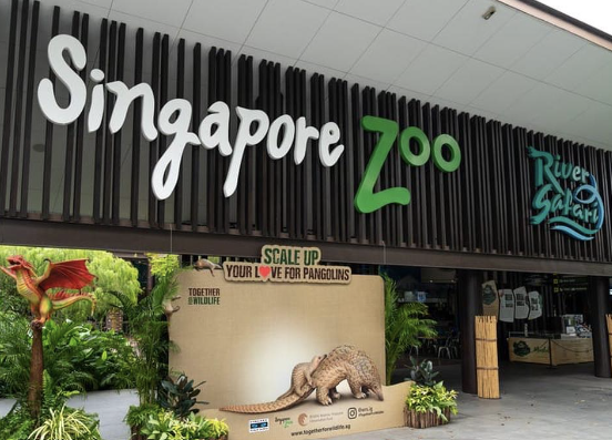Singapore-zoo