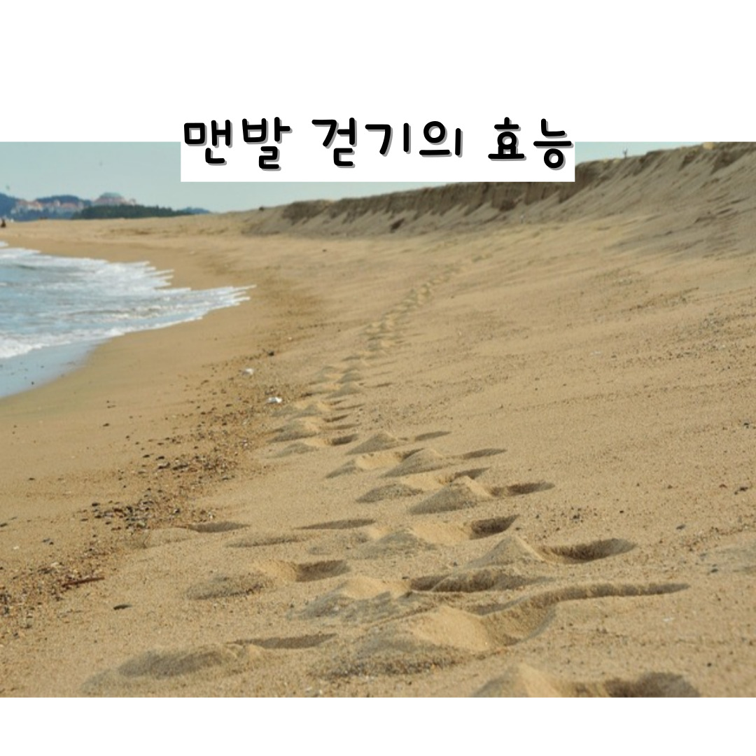 맨발 걷기의 효능