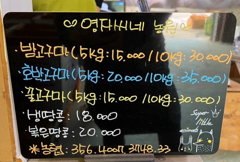 한국인의밥상-여주-고구마