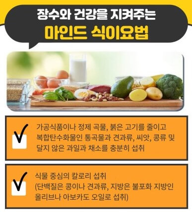 저속노화 식이요법