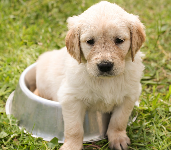 오늘의 운세 2023년 10월 25일