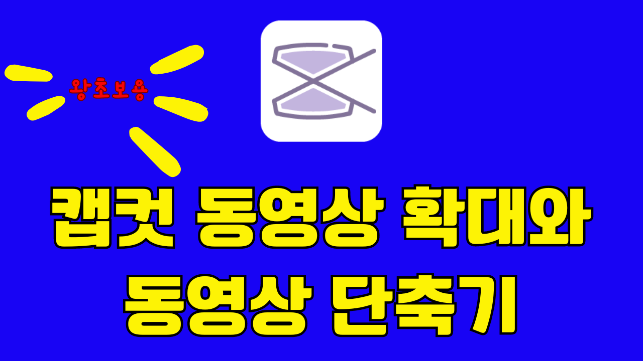 동영상 확대 및 단축키