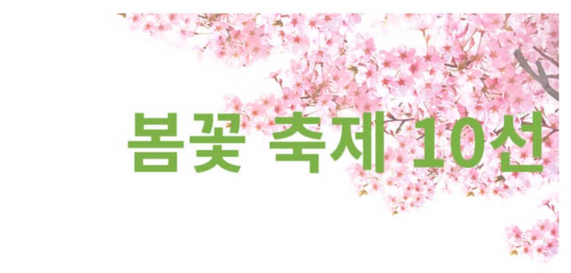 2025 주요 봄꽃 축제