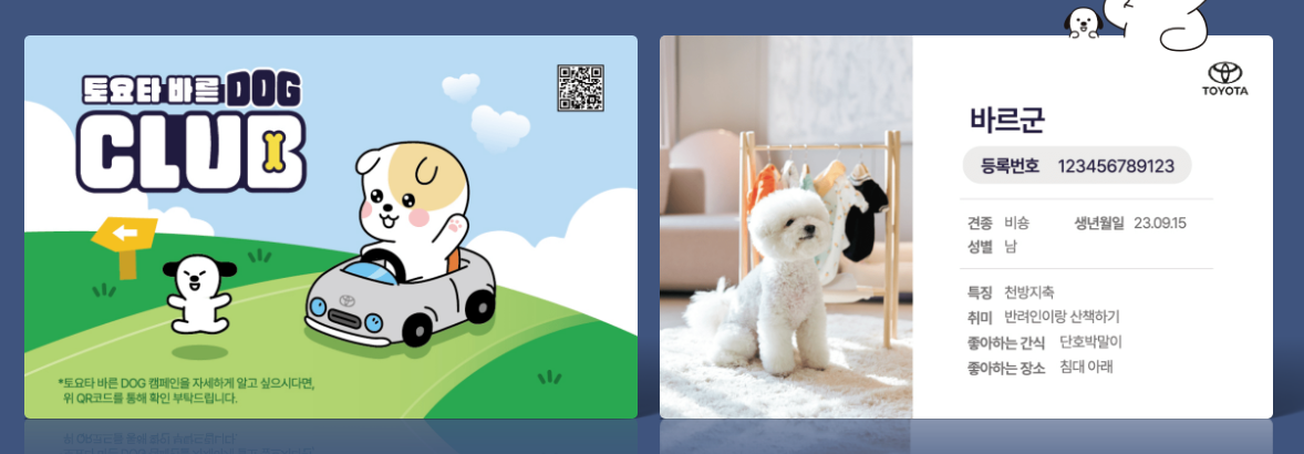 토요타 바른도그클럽 가입