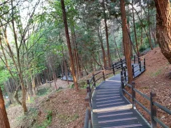 걷기좋은 숲길 50 서울 전남 경북_11
