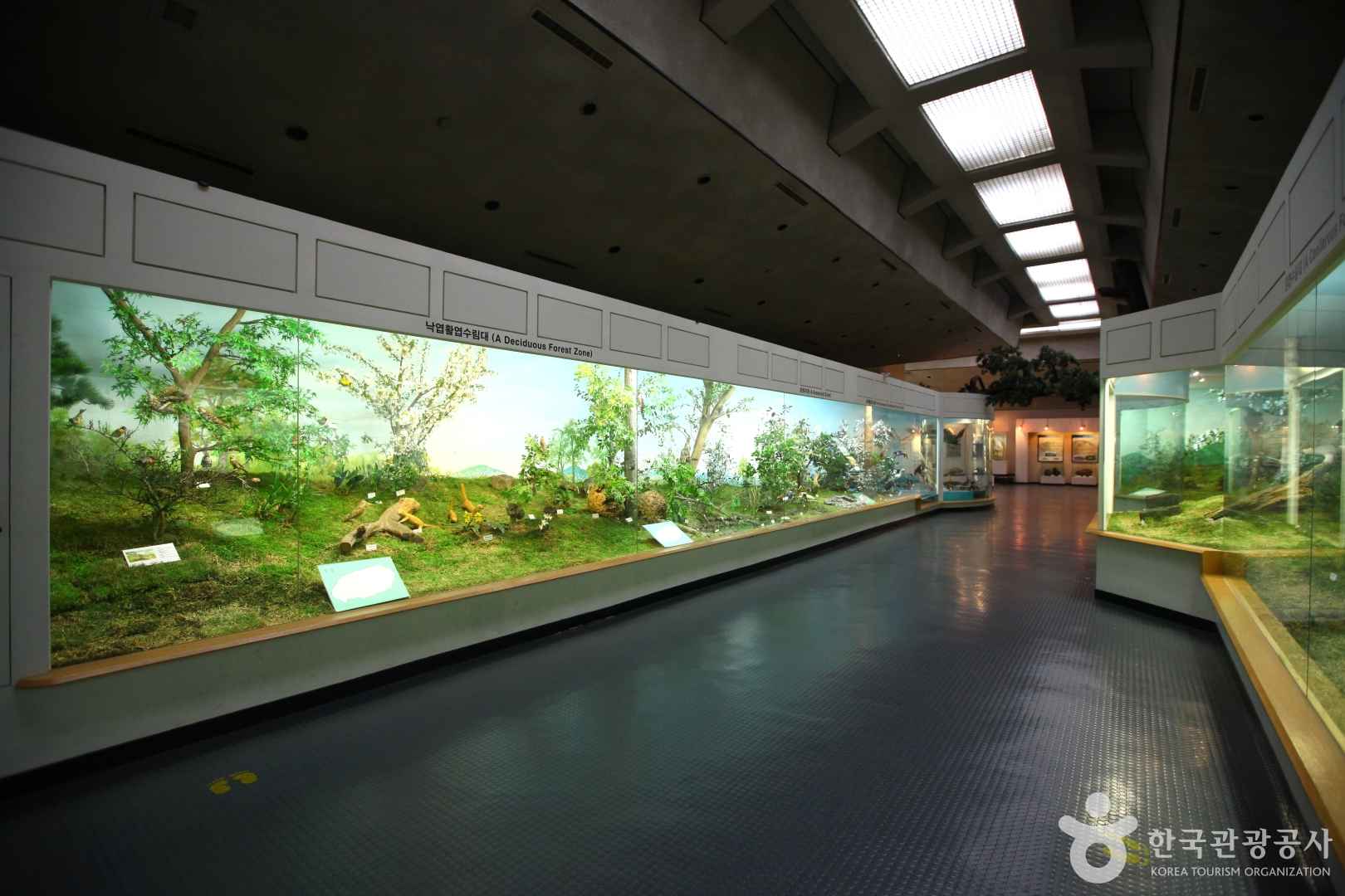 제주도민속자연사박물관