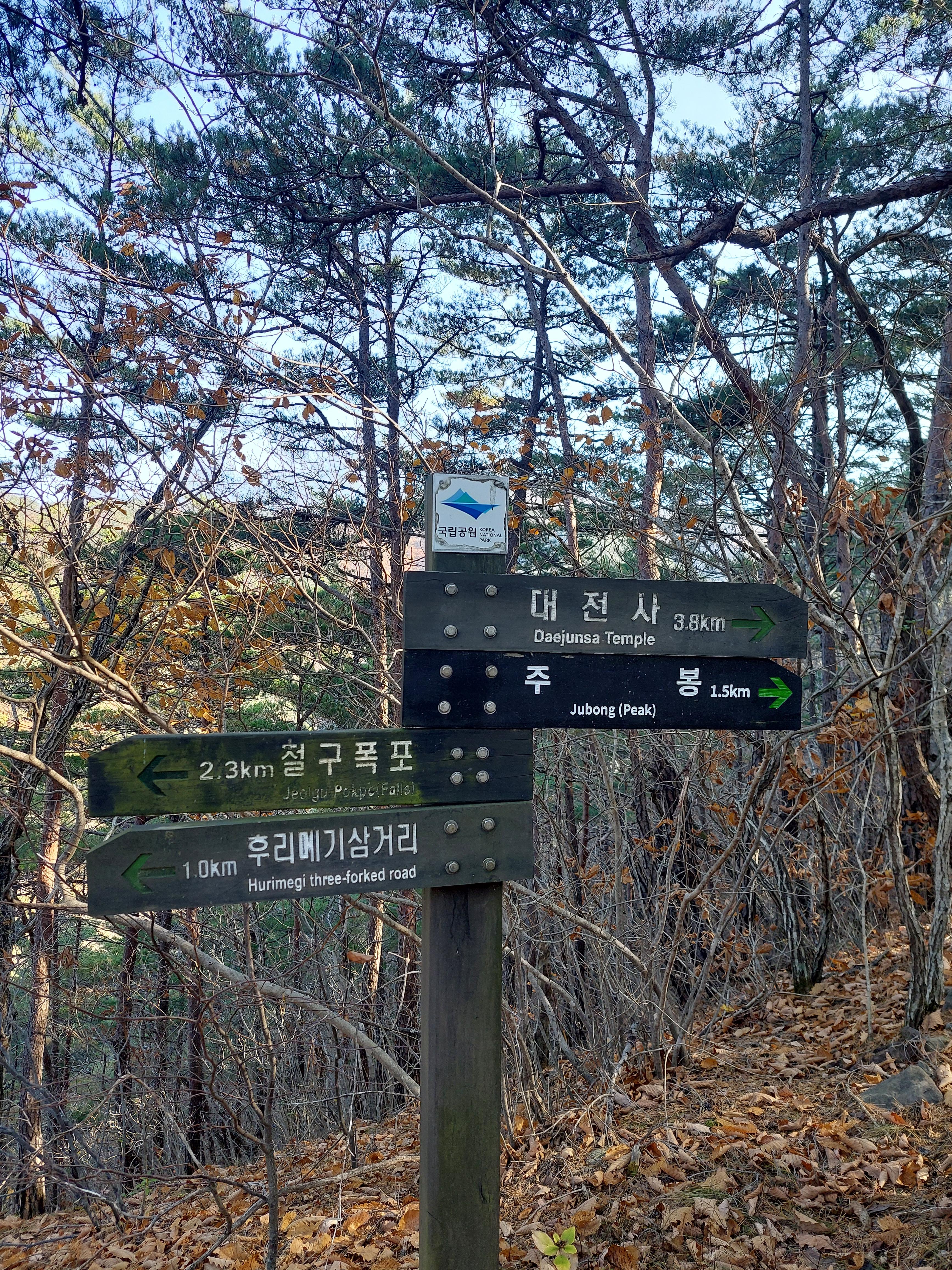 주왕산