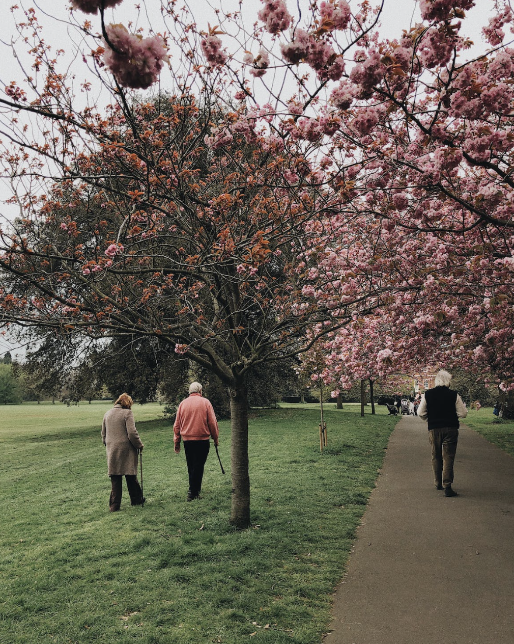 노령연금-수급자격