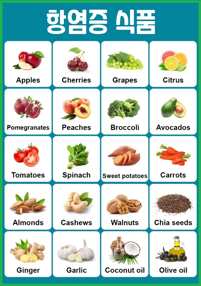 항염증 식단 항염증 식품