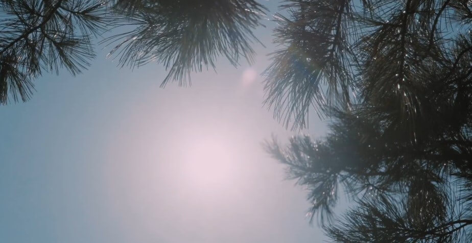 오크밸리 3D 라이팅쇼 소나타오브라이트는 밤이 되면 환상적인 세계로 변합니다.