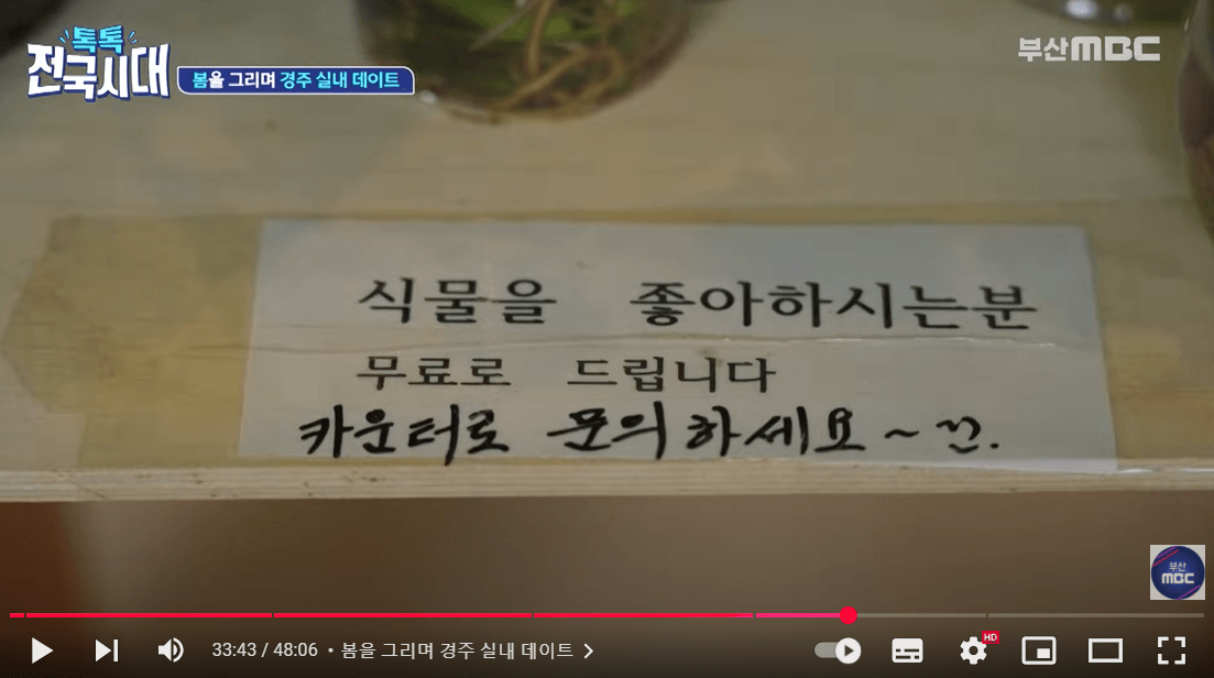 톡톡 전국시대 경주 식물원 카페